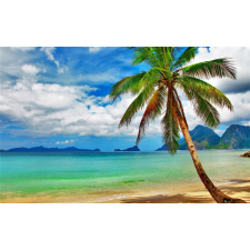  Öntapadó és mosható falfestmény Strand pálmafával, 300 x 250 cm tapéta, díszléc és más dekoráció