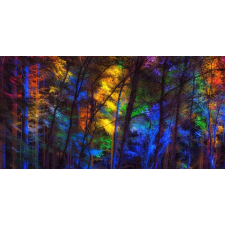  Öntapadó és mosható falfestmény Szivárvány az erdőben, 250 x 150 cm tapéta, díszléc és más dekoráció