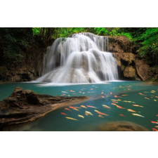  Öntapadó és mosható falfestmény Vízesés halakkal, 200 x 150 cm tapéta, díszléc és más dekoráció