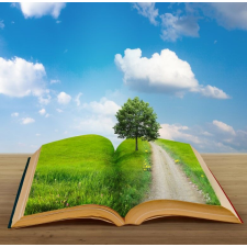  Öntapadó és mosható fali tapéta Book of nature2, 200 x 150 cm tapéta, díszléc és más dekoráció