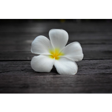  Öntapadó és mosható fali tapéta Flori59, 300 x 200 cm tapéta, díszléc és más dekoráció