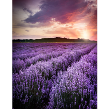  Öntapadó és mosható fali tapéta Lavender4, 150 x 205 cm tapéta, díszléc és más dekoráció