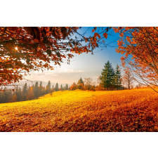  Öntapadó és mosható fali tapéta Natura106, 250 x 150 cm tapéta, díszléc és más dekoráció