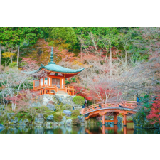  Öntapadó és mosható fali tapéta Natura107, 400 x 250 cm tapéta, díszléc és más dekoráció