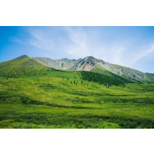  Öntapadó és mosható fali tapéta Natura108, 300 x 200 cm tapéta, díszléc és más dekoráció