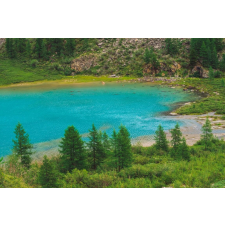  Öntapadó és mosható fali tapéta Natura113, 350 x 200 cm tapéta, díszléc és más dekoráció