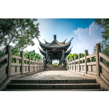  Öntapadó és mosható fali tapéta Natura121, 350 x 250 cm tapéta, díszléc és más dekoráció