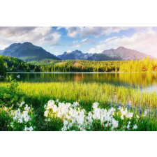  Öntapadó és mosható fali tapéta Natura137, 200 x 150 cm tapéta, díszléc és más dekoráció