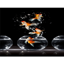  Öntapadó és mosható fali tapéta Összetétel 35, 200 x 150 cm tapéta, díszléc és más dekoráció