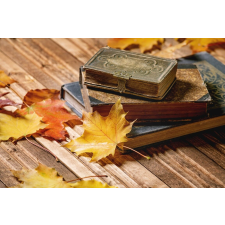  Öntapadó és mosható fali tapéta Összetétel 45, 350 x 200 cm tapéta, díszléc és más dekoráció