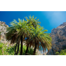  Öntapadó és mosható fali tapéta Palmieri30, 200 x 150 cm tapéta, díszléc és más dekoráció