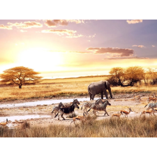  Öntapadó és mosható fali tapéta Savannah animals, 250 x 200 cm tapéta, díszléc és más dekoráció