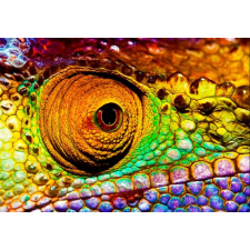  Öntapadó és mosható falikép Cameleon, 250 x 150 cm tapéta, díszléc és más dekoráció