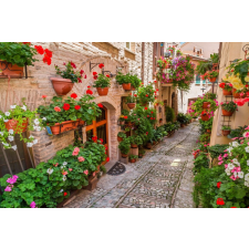  Öntapadó és mosható falikép Street virággal, 200 x 150 cm tapéta, díszléc és más dekoráció