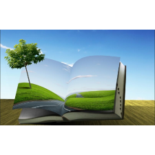  Öntapadós tapéta Book of nature, 250 x 200 cm tapéta, díszléc és más dekoráció