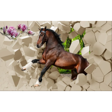  Öntapadós tapéta Gallop over akadályok, 250 x 150 cm tapéta, díszléc és más dekoráció