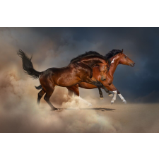  Öntapadós tapéta Két barna ló, homok, vágta, 200 x 150 cm tapéta, díszléc és más dekoráció