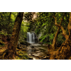  Öntapadós tapéta Kis erdei vízesés, 350 x 200 cm