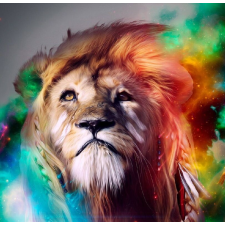  Öntapadós tapéta Lion's gaze, 150 x 205 cm tapéta, díszléc és más dekoráció