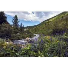  Öntapadós tapéta Natura103, 200 x 150 cm tapéta, díszléc és más dekoráció