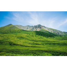  Öntapadós tapéta Natura108, 350 x 200 cm tapéta, díszléc és más dekoráció