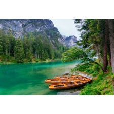  Öntapadós tapéta Natura125, 250 x 150 cm tapéta, díszléc és más dekoráció