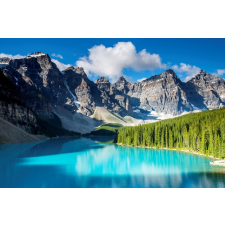  Öntapadós tapéta Natura33, 300 x 200 cm tapéta, díszléc és más dekoráció