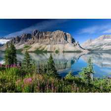  Öntapadós tapéta Natura43, 300 x 200 cm tapéta, díszléc és más dekoráció