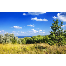  Öntapadós tapéta Natura48, 250 x 200 cm tapéta, díszléc és más dekoráció