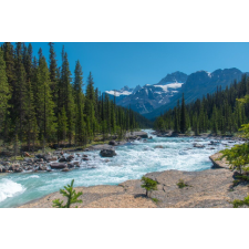  Öntapadós tapéta Natura56, 250 x 200 cm tapéta, díszléc és más dekoráció
