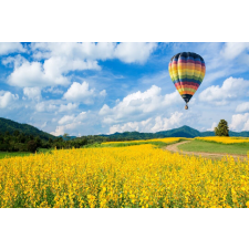  Öntapadós tapéta Natura63, 250 x 200 cm tapéta, díszléc és más dekoráció