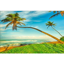  Öntapadós tapéta Pálmafák a tengerparton, 300 x 200 cm tapéta, díszléc és más dekoráció