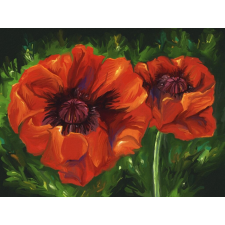  Öntapadós tapéta Pipacsok, festmény, absztrakt, 200 x 150 cm tapéta, díszléc és más dekoráció