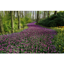  Öntapadós tapéta Rózsaszín virágok útja, 250 x 150 cm tapéta, díszléc és más dekoráció