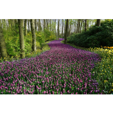  Öntapadós tapéta Rózsaszín virágok útja, 350 x 200 cm tapéta, díszléc és más dekoráció