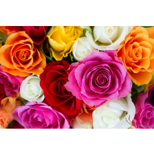  Öntapadós tapéta Színek robbanása, 350 x 200 cm tapéta, díszléc és más dekoráció