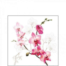 Orchid papírszalvéta 25x25cm, 20db-os papírárú, csomagoló és tárolóeszköz