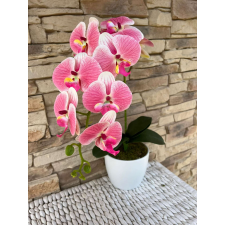 Orchidea 1 szálas kerámia kaspóban -rózsaszín árnyalatú dekoráció