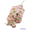  Orchidea 9 fejes ág 95cm - Csíkozott Mályva