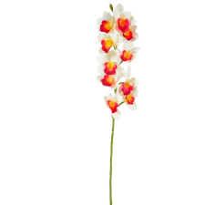  Orchidea ág gumi bordó-krém M77cm 24db/# dekorációs kellék