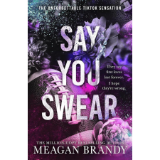 Orion Books Say You Swear (Boys of Avix Series, Book 1) regény