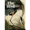 Orion Publishing Co Bird | KENNEDY PHILIP