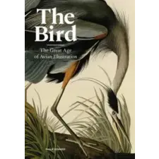 Orion Publishing Co Bird | KENNEDY PHILIP egyéb könyv