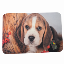  Őszi Beagle gumi lábtörlő, 60 x 40 cm lakástextília