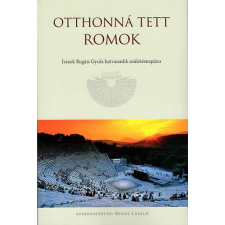  Otthonná tett romok történelem