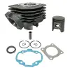 P2R (Motorisé) P2R öntöttvas prémium henger Piaggio 50 NRG 2000+, Gilera 50 Runner 2000+, DNA, Aprilia 50 SR L.C., Derbi 50 GP1 2000+ P2R (Motorisé) Motor alkatrészek Hengerfejek, hengerszettek Hengerszettek