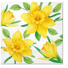  P.W.SDC121700 Daffodils in Bloom papírszalvéta 25x25cm,20-db-os asztalterítő és szalvéta