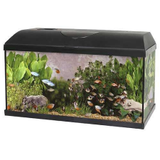  PACIFIC 60 akvárium 54l 60x30x30cm teljes felszereléssel LED világítással akvárium