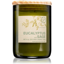 Paddywax Eco Green Eucalyptus & Sage illatgyertya 226 g gyertya