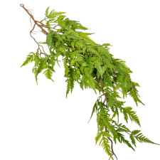  Páfrány futó 80cm 24db/# dekorációs kellék